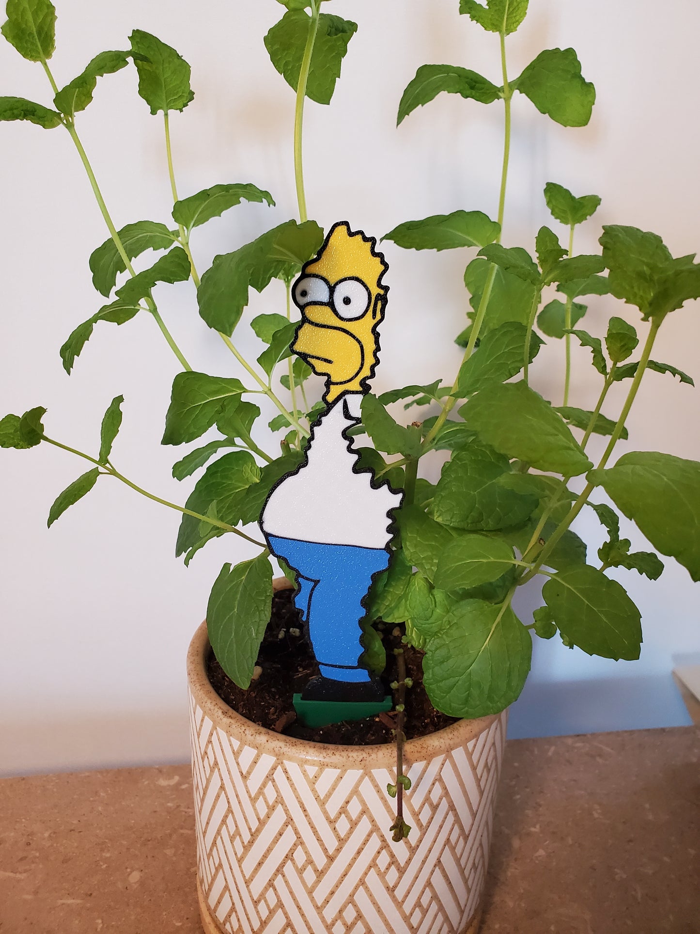 Meme Plant Decoration