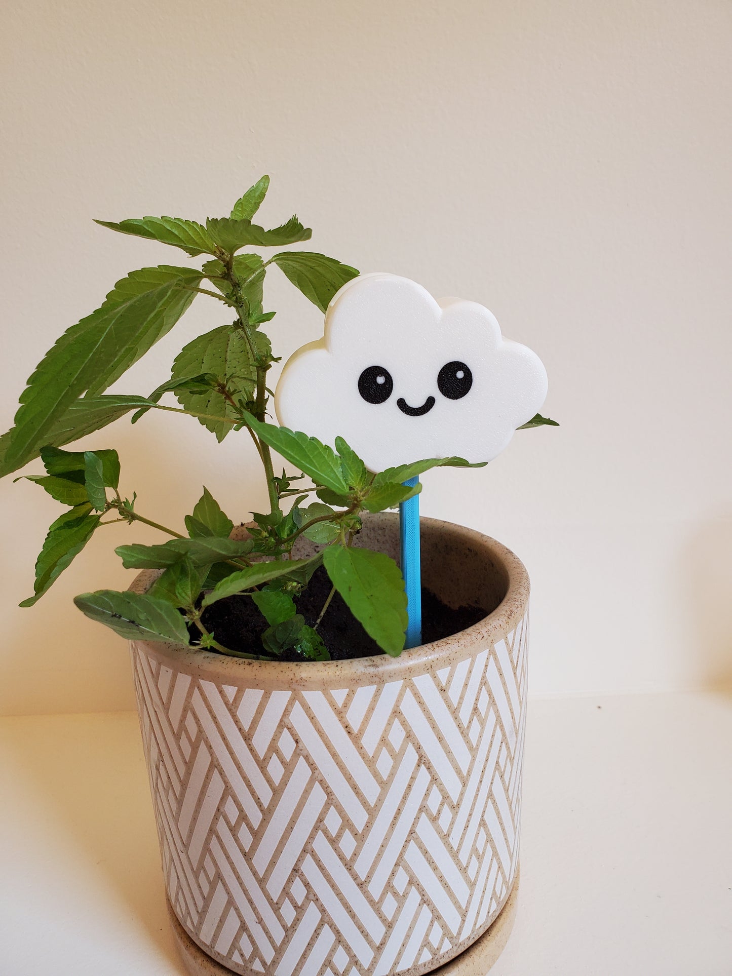Cute Cloud Plant Waterer image 0