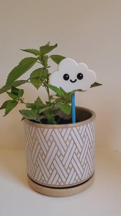 Cute Cloud Plant Waterer